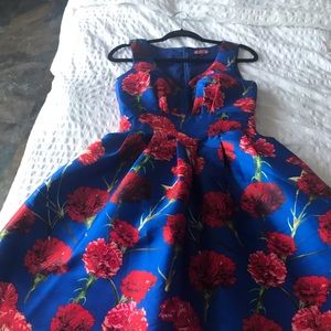 A la Tea dress! Red and Blue CHI CHI dress